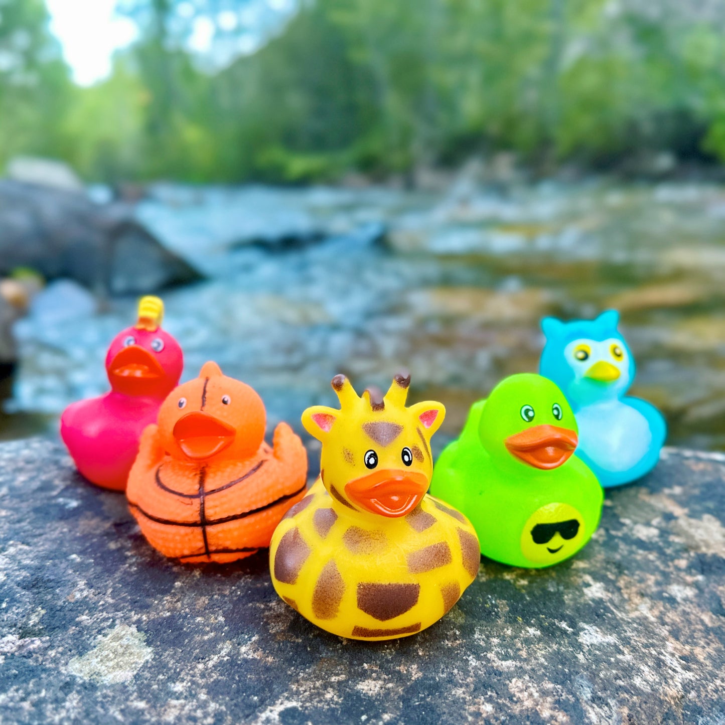 Neihart Race Ducks - Quack Pack (5 Ducks)